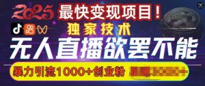 欲罢不能的无人直播引流,超暴力日引流1000+高质量精准创业粉-淘金日记