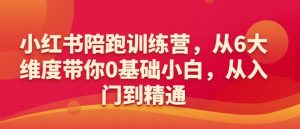 小红书陪跑训练营，从6大维度带你0基础小白，从入门到精通-淘金日记