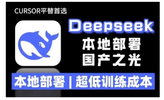 2025年deepseek R1 大型模型本地安装部署(文件+教程)本地部署，超低训练成本-淘金日记