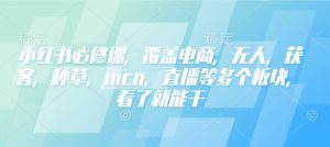 小红书必修课,覆盖电商,无人,获客,种草,mcn,直播等多个板块,看了就能干-淘金日记
