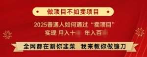 必看,做项目不如卖项目,2025普通人如何通过“卖项目”实现月入十个,年入百个-淘金日记