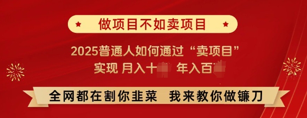 必看,做项目不如卖项目,2025普通人如何通过“卖项目”实现月入十个,年入百个-淘金日记