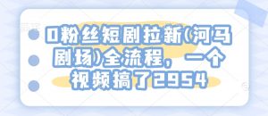 0粉丝短剧拉新(河马剧场)全流程,一个视频搞了2954-淘金日记