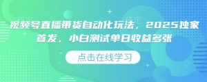视频号直播带货自动化玩法，2025独家首发，小白测试单日收益多张【揭秘】-淘金日记