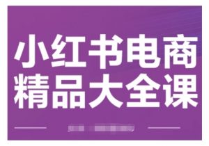 小红书电商精品大全课,快速掌握小红书运营技巧,实现精准引流与爆单目标,轻松玩转小红书电商-淘金日记