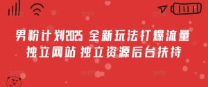 男粉计划2025  全新玩法打爆流量 独立网站 独立资源后台扶持【揭秘】-淘金日记