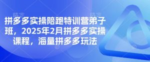 拼多多实操陪跑特训营弟子班,2025年2月拼多多实操课程,海量拼多多玩法-淘金日记