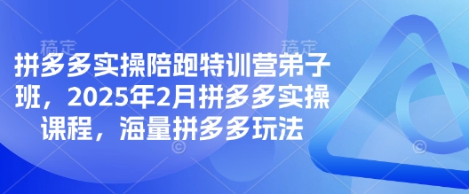 拼多多实操陪跑特训营弟子班,2025年2月拼多多实操课程,海量拼多多玩法-淘金日记