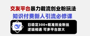 交友平台暴力截流创业粉玩法,知识付费新人引流必修课,日稳定300+精准创业粉丝,逻辑相通可多平台放大-淘金日记