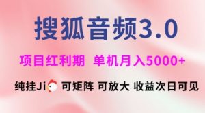 搜狐音频挂ji3.0.可矩阵可放大,独家技术,稳定月入5000+【揭秘】-淘金日记