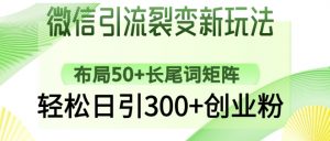 微信引流裂变新玩法:布局50+长尾词矩阵,轻松日引300+创业粉-淘金日记