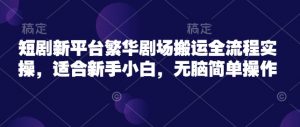 短剧新平台繁华剧场搬运全流程实操，适合新手小白，无脑简单操作-淘金日记