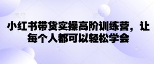 小红书带货实操高阶训练营,让每个人都可以轻松学会-淘金日记