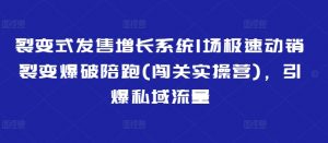 裂变式发售增长系统1场极速动销裂变爆破陪跑(闯关实操营)，引爆私域流量-淘金日记