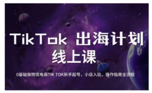 TikTok跨境电商新手起号与运营全攻略,0基础做跨境电商TIKTOK新手起号,小店入驻,操作指南全流程-淘金日记