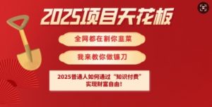 2025项目天花板普通人如何通过知识付费，实现财F自由【揭秘】-淘金日记