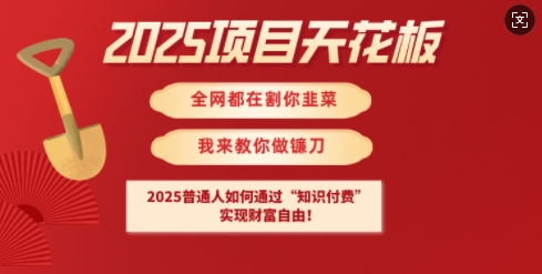 2025项目天花板普通人如何通过知识付费,实现财F自由【揭秘】-淘金日记