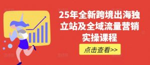25年全新跨境出海独立站及全域流量营销实操课程，跨境电商独立站TIKTOK全域营销普货特货玩法大全-淘金日记