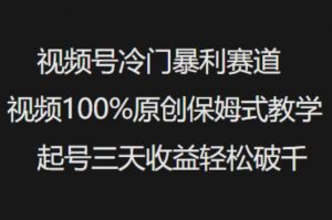 视频号冷门暴利赛道视频100%原创保姆式教学起号三天收益轻松破千-淘金日记