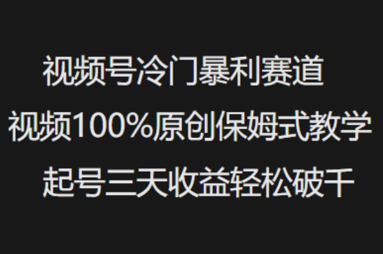 视频号冷门暴利赛道视频100%原创保姆式教学起号三天收益轻松破千-淘金日记