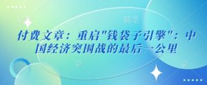 付费文章：重启”钱袋子引擎”：中国经济突围战的最后一公里-淘金日记