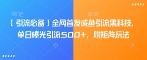【引流必备】全网首发咸鱼引流黑科技，单日曝光引流500+，附矩阵玩法【揭秘】-淘金日记