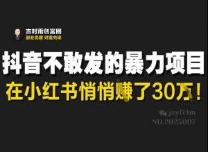 抖音不敢发的暴利项目,在小红书悄悄挣了30W-淘金日记