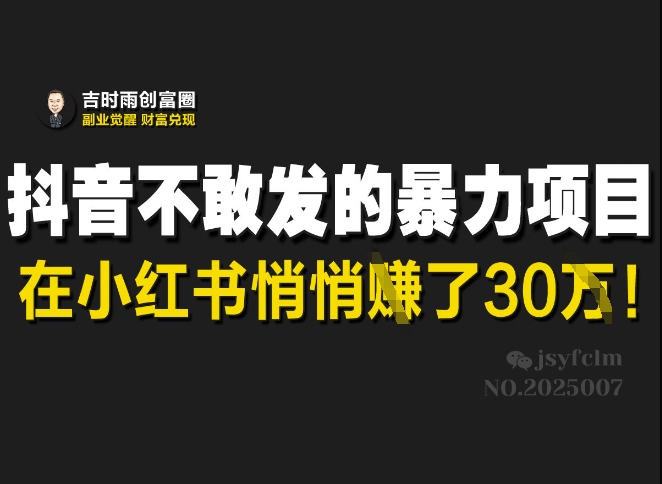 抖音不敢发的暴利项目,在小红书悄悄挣了30W-淘金日记