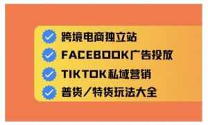 跨境电商独立站及全域流量营销，从0基础快速入门并精通跨境电商运营-淘金日记