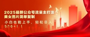 2025最新公众号流量主打法,美女图片简单复制,小白也能上手,轻松日入5张-淘金日记
