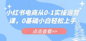 小红书电商从0-1实操运营课，0基础小白轻松上手-淘金日记