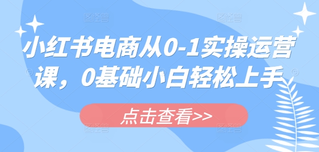 小红书电商从0-1实操运营课,0基础小白轻松上手-淘金日记
