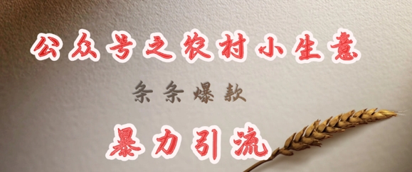 deepseek写农村小项目,条条爆款,暴力引流-淘金日记