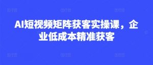 AI短视频矩阵获客实操课,企业低成本精准获客-淘金日记