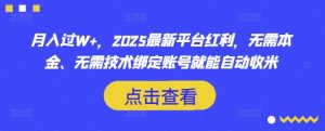 月入过W+,2025最新平台红利,无需本金、无需技术绑定账号就能自动收米-淘金日记