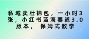 私域卖壮锦包,一小时3张,小红书蓝海赛道3.0版本, 保姆式教学-淘金日记
