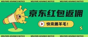 京东新用户拉新项目，拆解纯白嫖项目，玩法简单-淘金日记
