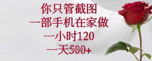 你只管截图,一部手机在家做,一小时120.一天5张【揭秘】-淘金日记
