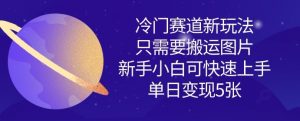 冷门赛道新玩法，只需要搬运图片，新手小白可快速上手，单日变现多张-淘金日记