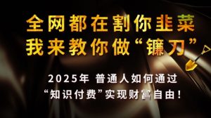 全网都在割你韭菜,我来教你做镰刀,2025普通人如何通过知识付费,实现财F自由【揭秘】-淘金日记