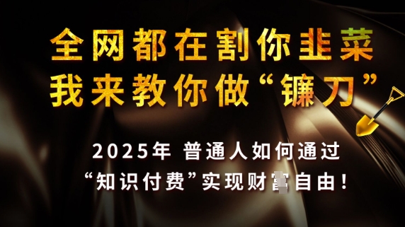 全网都在割你韭菜，我来教你做镰刀，2025普通人如何通过知识付费，实现财F自由【揭秘】-淘金日记