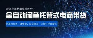 【闲鱼全自动电商带货】三年磨一剑,一朝露锋芒,长期稳定项目,单日稳定变现5张【揭秘】-淘金日记