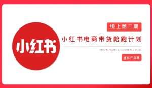 2025小红书虚拟电商实战课，从0到1打造无货源店铺，AI+爆款笔记轻松变现-淘金日记