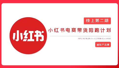 2025小红书虚拟电商实战课，从0到1打造无货源店铺，AI+爆款笔记轻松变现-淘金日记