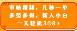 审核视频，几秒一单，多劳多得，新人小白一天轻松3张【揭秘】-淘金日记