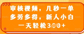 审核视频，几秒一单，多劳多得，新人小白一天轻松3张【揭秘】-淘金日记