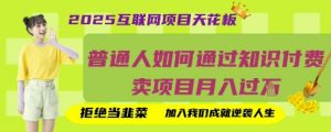 2025互联网项目天花板，普通人如何通过知识付费卖项目月入过W，拒绝当韭菜【揭秘】-淘金日记