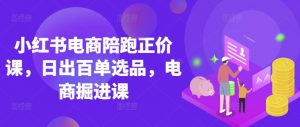 小红书电商陪跑正价课，小红书官方认证电商讲师教学，日出百单选品，电商掘进课-淘金日记