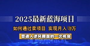 2025蓝海项目,普通人如何通过卖项目,实现月入过W,全过程【揭秘】-淘金日记