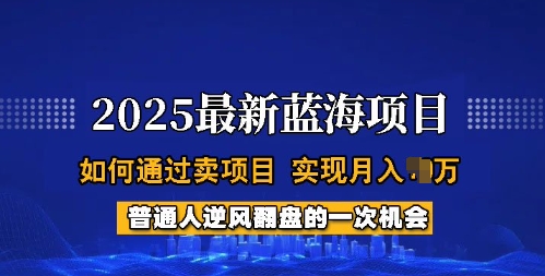 2025蓝海项目,普通人如何通过卖项目,实现月入过W,全过程【揭秘】-淘金日记